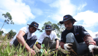 BRI Peduli Grow & Green Lestarikan Danau Toba dengan Menanam 2.500 Bibit Pohon di Samosir - GenPI.co Sultra