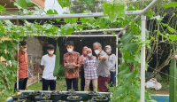 Lokasi Penelitian Urban Farming Unsri Dikunjungi Mahasiswa Jepang - GenPI.co Sumsel