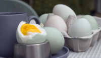 Telur Asin Ternyata Punya 3 Manfaat untuk Kesehatan, Simak Nih - GenPI.co Sumsel
