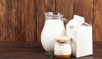 Susu Unta Punya Manfaat Super, Salah Satunya Bagus untuk Diabetesi - GenPI.co Sumsel