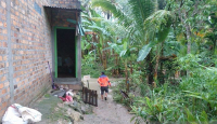 Desa Sukajaya Dilanda Banjir, BPBD OKU Selatan Terjunkan TRC - GenPI.co Sumsel