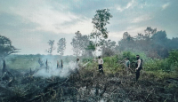 Polisi Tangkap Warga Pembakar Lahan Pertanian di Muba - GenPI.co Sumsel
