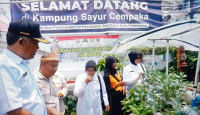 Puluhan Purnawirawan ABRI di Palembang Ikut Pelatihan Hidroponik - GenPI.co Sumsel