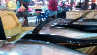 Tips Sederhana Hilangkan Bau Amis pada Ikan - GenPI.co Sumut