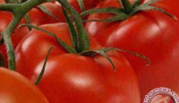 Ini 3 Tips Bikin Kulit Wajah Glowing dengan Tomat - GenPI.co Sumut