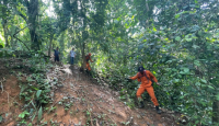7 Hari di Hutan, Basarnas Medan Hentikan Pencarian Warga - GenPI.co Sumut