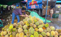 Kaya Antioksidan, Durian Bisa Bantu Lindungi Tubuh dari Penyakit - GenPI.co