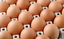 Harga Telur Ayam Mencapai Rp 32 Ribu Per Kilogram, Pedagang Menjerit - GenPI.co