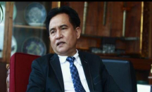 Yusril Ihza Mahendra Siap Bantu Jokowi Soal IKN Nusantara - GenPI.co