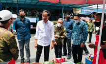 Analis Bongkar Mafia Minyak Goreng, Sebut Jokowi - GenPI.co