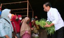 Jokowi Borong Kangkung di Pasar Tanjung Brebes, Pegadang Gemetar - GenPI.co