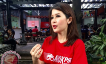 Koordinator Tim Pembela Demokrasi Indonesia Senggol PSI, Sebut Megawati Soekarnoputri - GenPI.co
