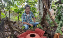 Penantian Panjang Joni Melihat Rafflesia Mekar Berseri - GenPI.co