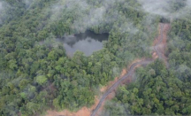 PT WS di Papua Diduga Rusaki Tempat Sakral Masyarakat Adat Kuri - GenPI.co