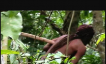 Penyintas Terakhir tak Dikenal di Hutan Amazon Meninggal, Sukunya pun Punah - GenPI.co