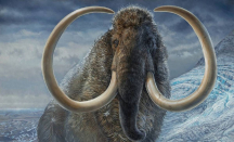Tidak Biasa, CIA Ingin Menghidupkan Lagi Gajah Purba Mammoth - GenPI.co