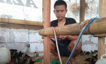 Kisah Ato, Pencinta Hewan yang Sukses Ternak Ayam dengan Omzet Tinggi - GenPI.co