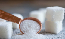 Dampak Mengonsumsi Gula Ternyata Buruk Bagi Kesehatan, Sangat Berbahaya - GenPI.co