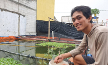 Bisnis Ternak Ikan Air Tawar di Dekat Rumah, Cuan Wahid Mengalir Deras - GenPI.co