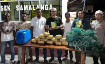 Nelayan di Aceh Temukan Sabu Seberat 15 Kg di Selat Malaka - GenPI.co