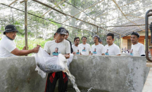 Bantu Ekonomi Warga, Nelayan Pesisir Dukung Ganjar Beri Bibit Ikan Lele - GenPI.co
