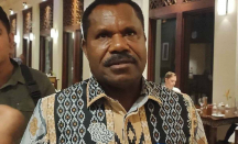 Dampak Penyanderaan Pilot Susi Air Oleh KKB Papua Mulai Dirasakan Warga - GenPI.co
