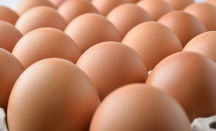5 Cara Jitu Mengetahui Telur Busuk, Jangan Sampai Keliru - GenPI.co