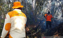 BPBD Sebut Kebakaran Lahan di Nagan Raya Mencapai 13 Hektare - GenPI.co