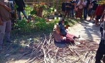 Bacaleg PDIP Lombok Barat Dihajar Karena Diduga Hamili Anak, Pelaku Asli Tertangkap - GenPI.co