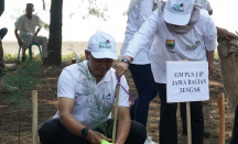 Cegah Abrasi Pantai, PLN Beri Bantuan 31.000 Pohon untuk Kabupaten Batang - GenPI.co