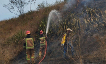 Kebakaran Hutan di Gunung Guntur Garut Disebabkan Ulah Kelompok Remaja SMP - GenPI.co