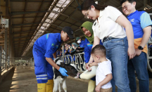 Intip Keseruan Nagita Slavina dan Cipung Kunjungi Pabrik Susu di Subang - GenPI.co