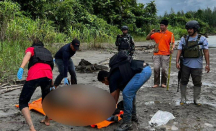 5 Terduga Anggota KKB Tewas Setelah Kontak Tembak dengan TNI di Dekai - GenPI.co