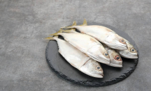 4 Khasiat Makan Ikan Selar Ternyata Dahsyat, Mampu Mencegah Penyakit Kronis - GenPI.co