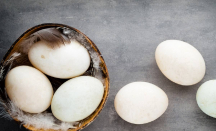 4 Khasiat Makan Telur Bebek untuk Kesehatan, Rugi Kalau Tak Suka - GenPI.co