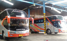 Manajemen Rosalia Indah Akan Tindak Awak Bus yang Terbukti Terlibat Pencurian - GenPI.co