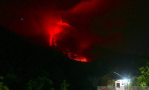 Tetap Waspada! Aliran Lava Erupsi Gunung Lewotobi Laki-Laki Meluncur 3 Km ke Timur Laut - GenPI.co