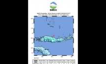 Gempa Magnitudo 5,6 Guncang Laut Flores, BMKG Ungkap Penyebabnya - GenPI.co