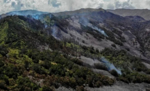 Tok! Terdakwa Kebakaran Hutan Gunung Bromo Divonis 2 Tahun 6 Bulan Penjara dan Denda Rp 3,5 Miliar - GenPI.co