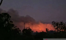 Kebakaran Lahan dan Hutan di Kepulauan Meranti Riau Meluas hingga 115 Hektare - GenPI.co