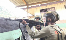Satgas Gagalkan Upaya KKB Serang Kantor Polisi dan TNI di Homeyo - GenPI.co