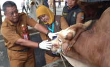 8 Kasus Cacing Hati Ditemukan pada Hewan Kurban di Tangerang - GenPI.co