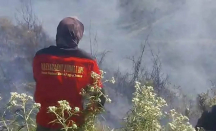 Waduh! Kawasan Gunung Bromo Kebakaran Lagi, Ini Kondisinya - GenPI.co