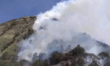 Urung Padam, Ini Kendala Pemadaman Api Gunung Batok di Kawasan Gunung Bromo - GenPI.co