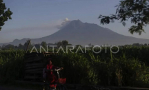 Gunung Merapi Muntahkan Guguran Lava 132 Kali dalam Sepekan Terakhir - GenPI.co