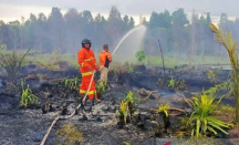 Waspada! BMKG Ingatkan Ada 165 Titik Panas Terdeteksi di Kalimantan Barat - GenPI.co