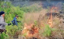 Kebakaran Landa Lereng Gunung Arjuno, Hanguskan Lahan 21 Ha - GenPI.co