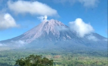 Gunung Semeru Kembali Erupsi, Kolom Letusan Setinggi 500 Meter - GenPI.co