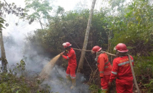 Lahan Seluas 750,83 Ha di Sumatra Selatan Terbakar - GenPI.co