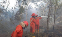 20 Ha Lahan di OKI Sumsel Terbakar, Kualitas Udara di Palembang Memburuk - GenPI.co